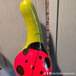 Hand-Painted Ladybug Gourd Birdhouse🪺🐦